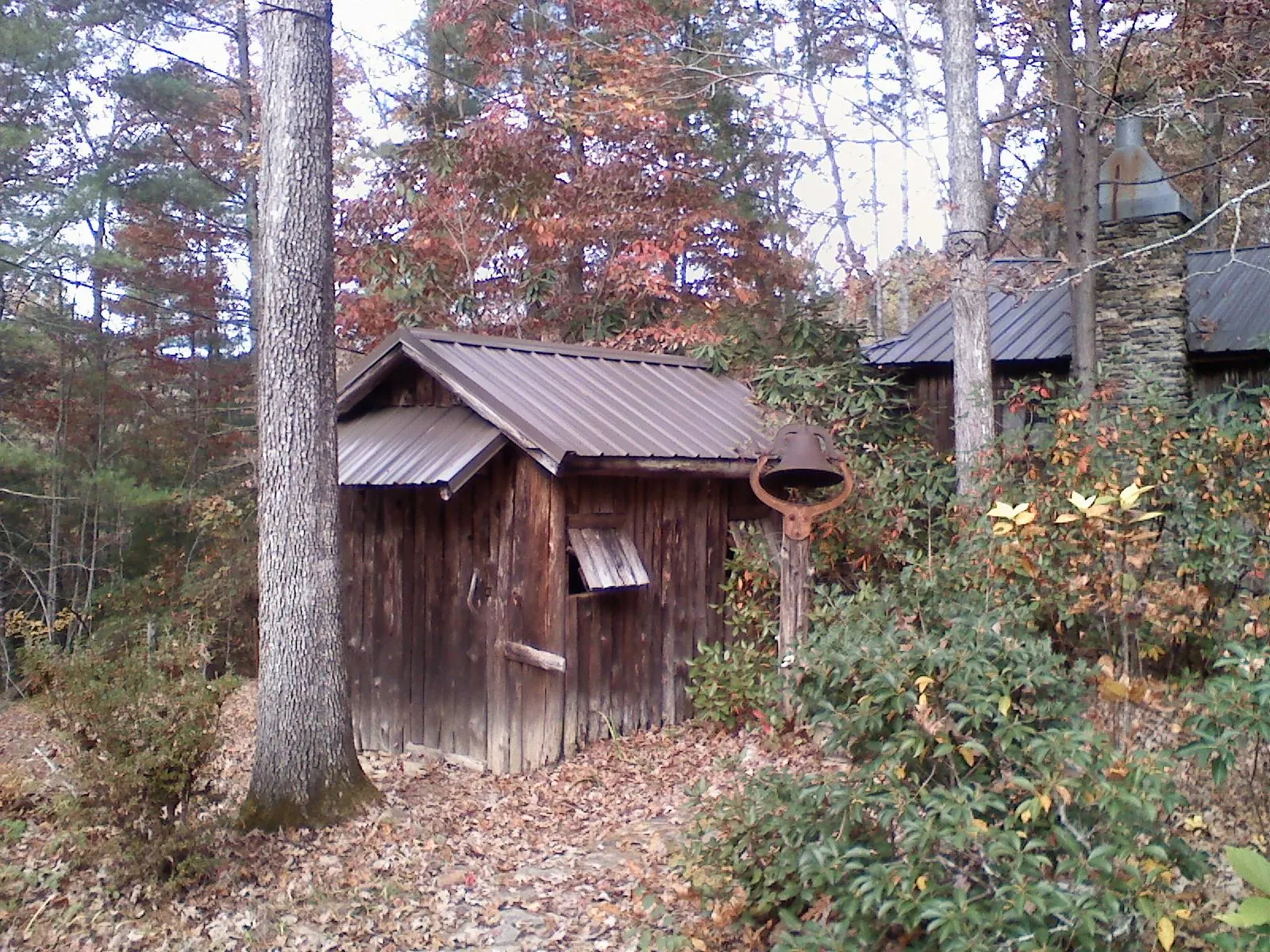 Small metal roof on a rough sawn shed in the woods in Allensville